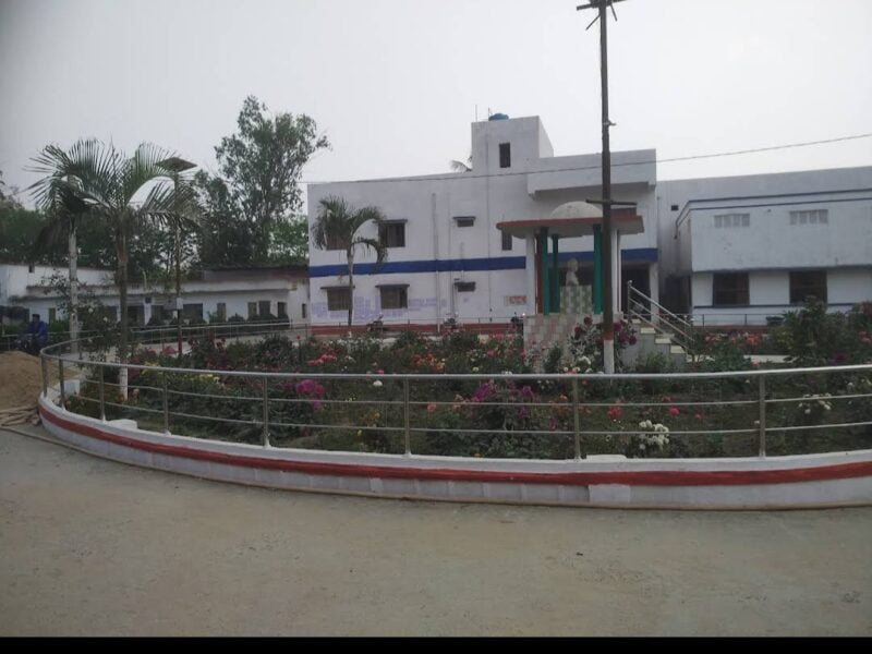 T . P college Madhepura