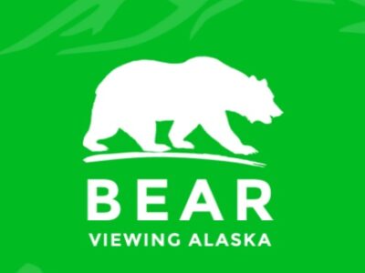 Bear Viewing Tours Alaska Adventure