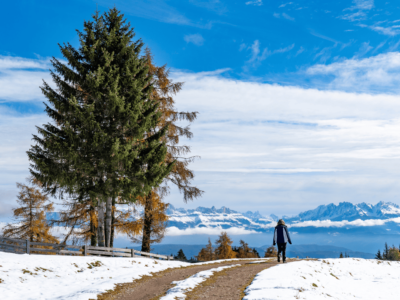 Kashmir Holiday Packages -Your Access to the Heaven on Earth