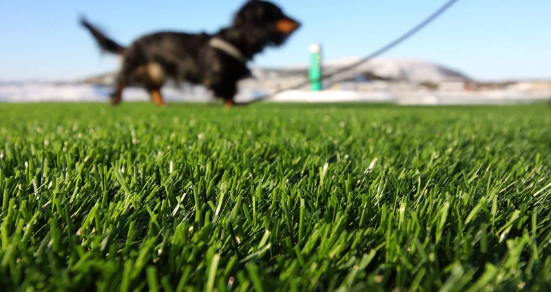Artificial Turf Installation Grapevine