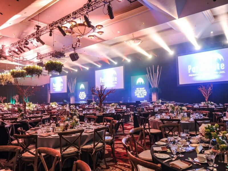 Luminary Networks LTD