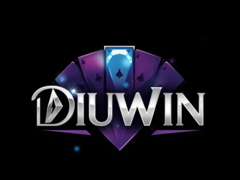 Diuwin Elevating Digital Innovation and Performance