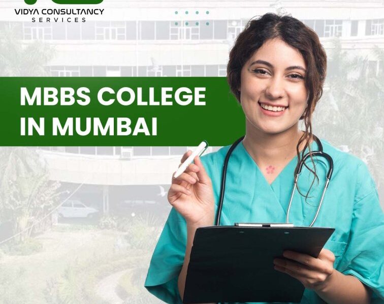 Vidya Consultancy Services