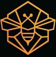 Premium Organic Honey Store in Abu Dhabi | Aurum Apis