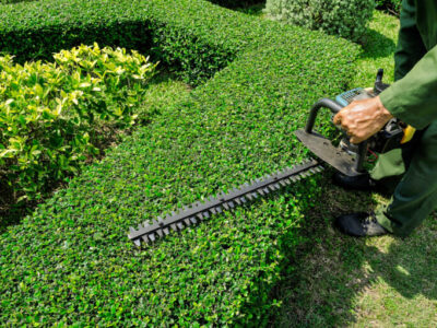 Green Eyes Landscape Inc