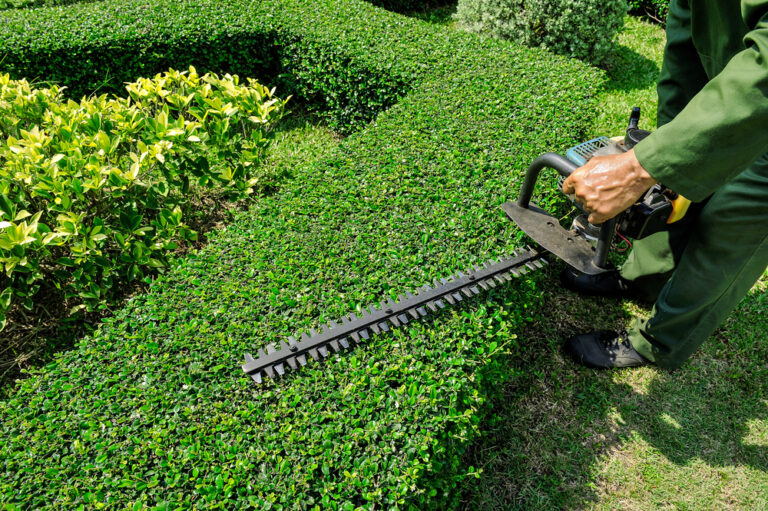 Green Eyes Landscape Inc