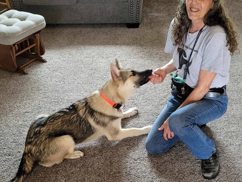 MaryO's 'Good Dog' Training