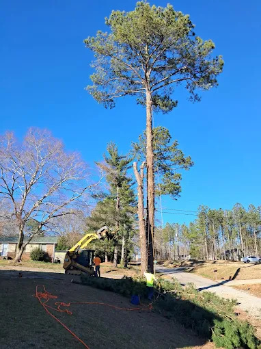 Solarex Environmental Contracting