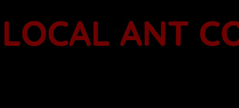 Local Ant Control Brisbane