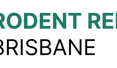 Rodent Removal Brisbane