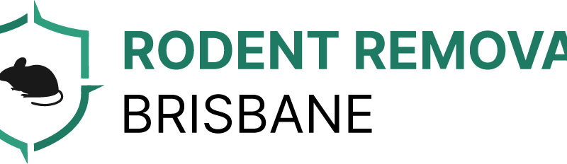 Rodent Removal Brisbane