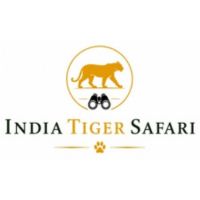 India Tiger Safari